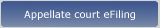 Appellate court eFiling