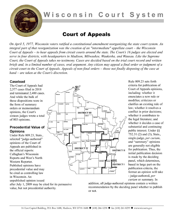 Wisconsin Court System Informational Handouts