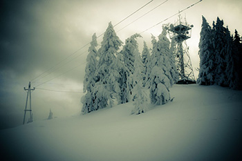 snowy day on a ski hill