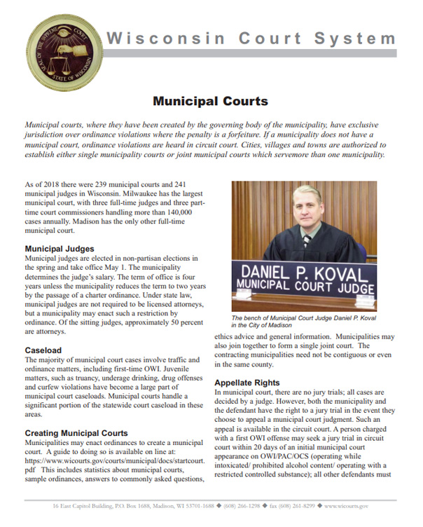 Wisconsin Court System Informational handouts